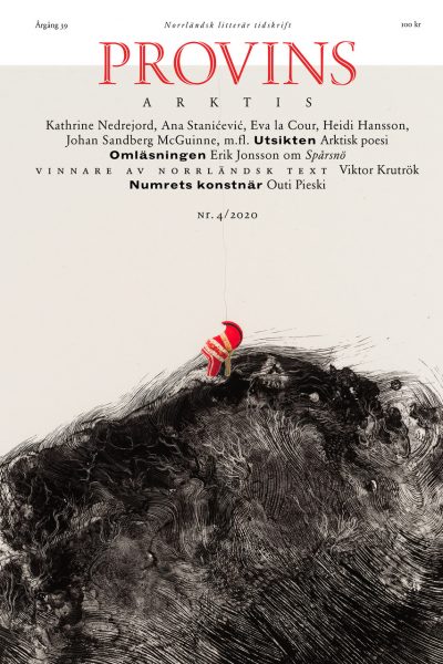 Provins nr 4/2020: Arktis. Omslagsbild: "Alážis/At the Top" av Outi Pieski. Print: Tamarind Institute. Fotografi: Ari Karttunen/EMMA.